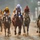 Justify in the Kentucky Derby