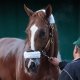 Kentucky Derby betting tips