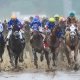 Kentucky Derby betting trends