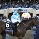Kentucky Derby Citizen Bull