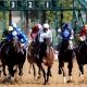 Kentucky Derby predictions Burnham Square 