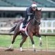 Kentucky Oaks predictions La Cara