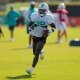 Miami Dolphins season win total picks Tyreek Hill