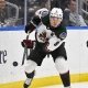 nhl picks Clayton Keller Arizona Coyotes nhl picks predictions best bet odds