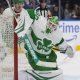 nhl picks Joseph Woll Toronto Maple Leafs nhl picks