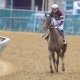 Preakness Stakes