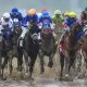 Preakness Stakes betting trends