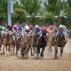 Preakness Stakes field early look