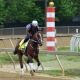 Preakness Stakes pace scenario Mystik Dan 