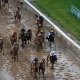 Preakness Stakes wagering strategies