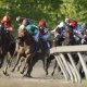 Preakness Stakes