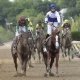 Shackleford, the Preakness Stakes Winner