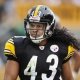 Pittsburgh Steelers safety Troy Polamalu