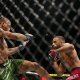 ufc picks Jai Herbert predictions best bet odds