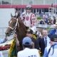 Will there ever be Triple Crown winner in horse racing?