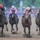Will there be a Triple Crown winner?